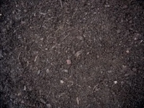 Organic Compost