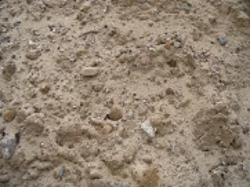 Sandy Fill